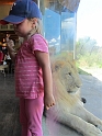 Kids_NancyVisit_DZoo (9)